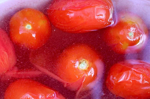 blanching tomatoes www.talkoftomatoes.com