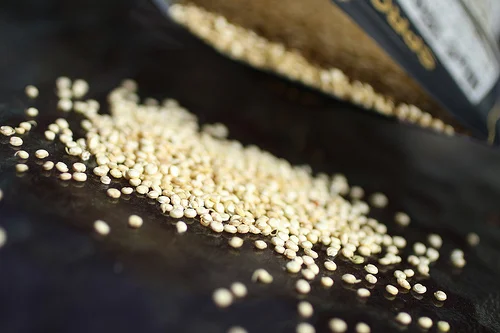 quinoa