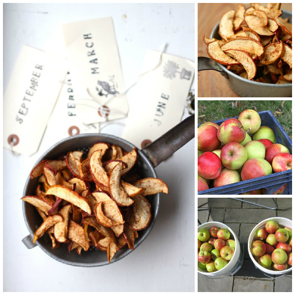 apple chips recipe @talkoftomatoes