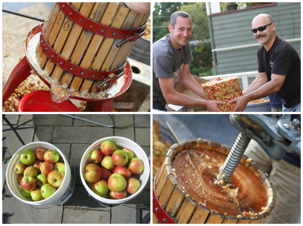 apple cider press @talkoftomatoes