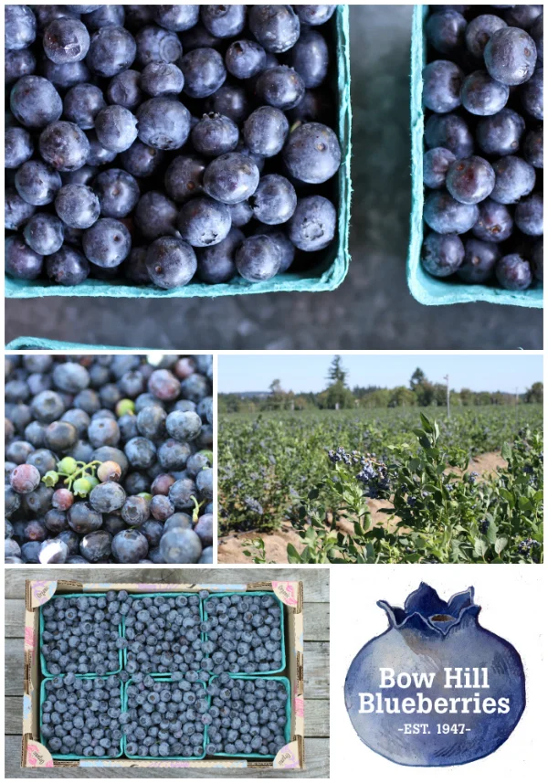 Local Blueberries