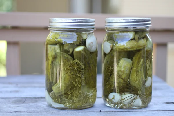 Easy Dill Pickle Recipe
