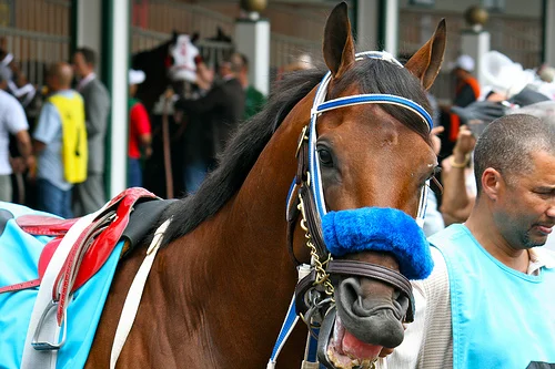 Kentucky Derby 2012