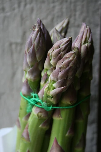 Asparagus: snap, crackle, pop!