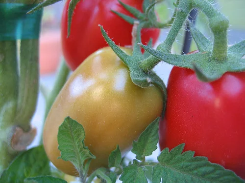 Quick tips for the kitchen.