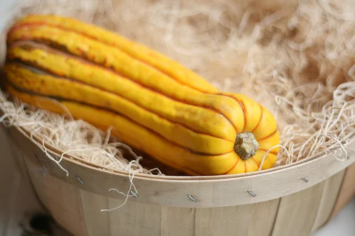 delicata squash 'pasta' ribbons with chanterelle mushrooms