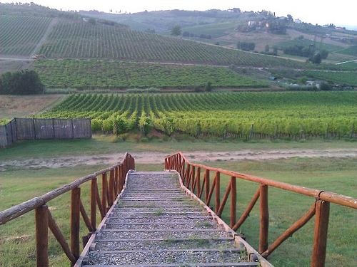 DaVinci Wine Cookbook: page 2 [of 10]