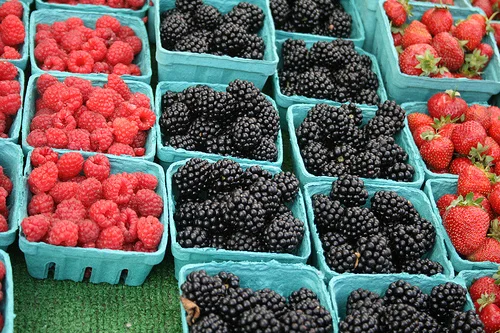 preserving: blackberry plum cardamom jam