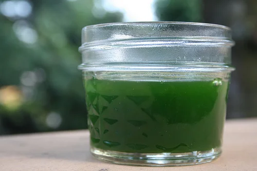 basil simple syrup.