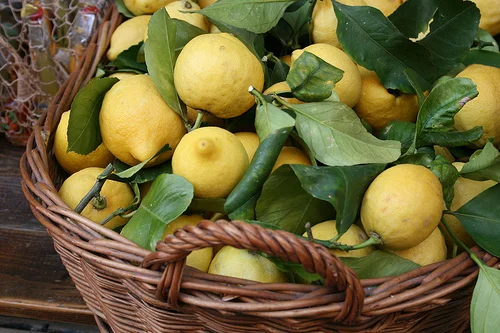 when life gives you lemons... make limoncello!