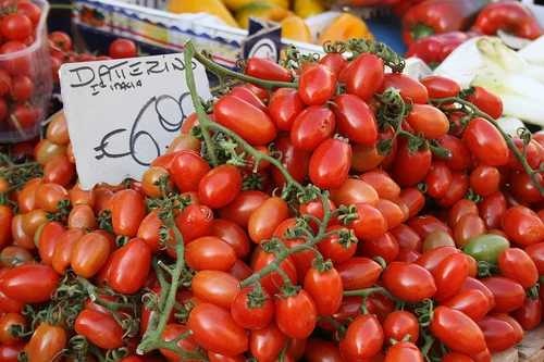 hopping around the web