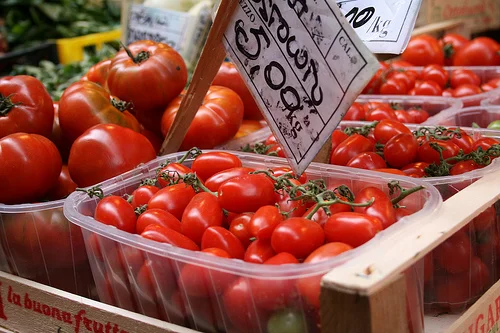 Basic Tomato Sauce