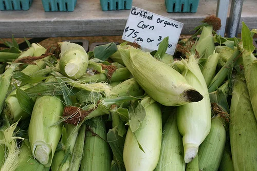 Central Plains Cuisine