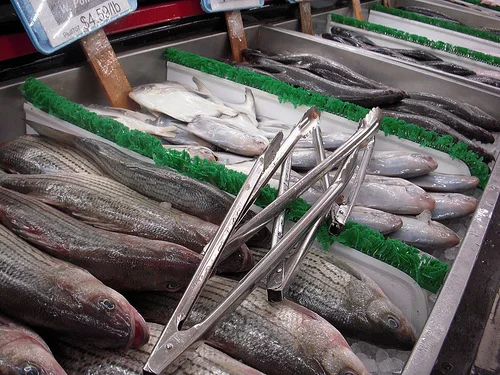 Pacific Northwest Cuisine