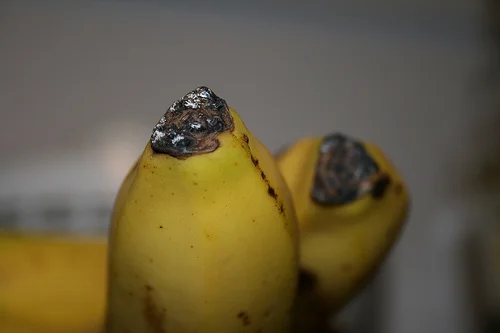 go bananas
