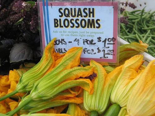 Zucchini Blossoms