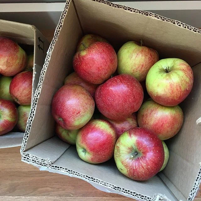 Mmmmm loving Apple season! Made cider yesterday #swoon