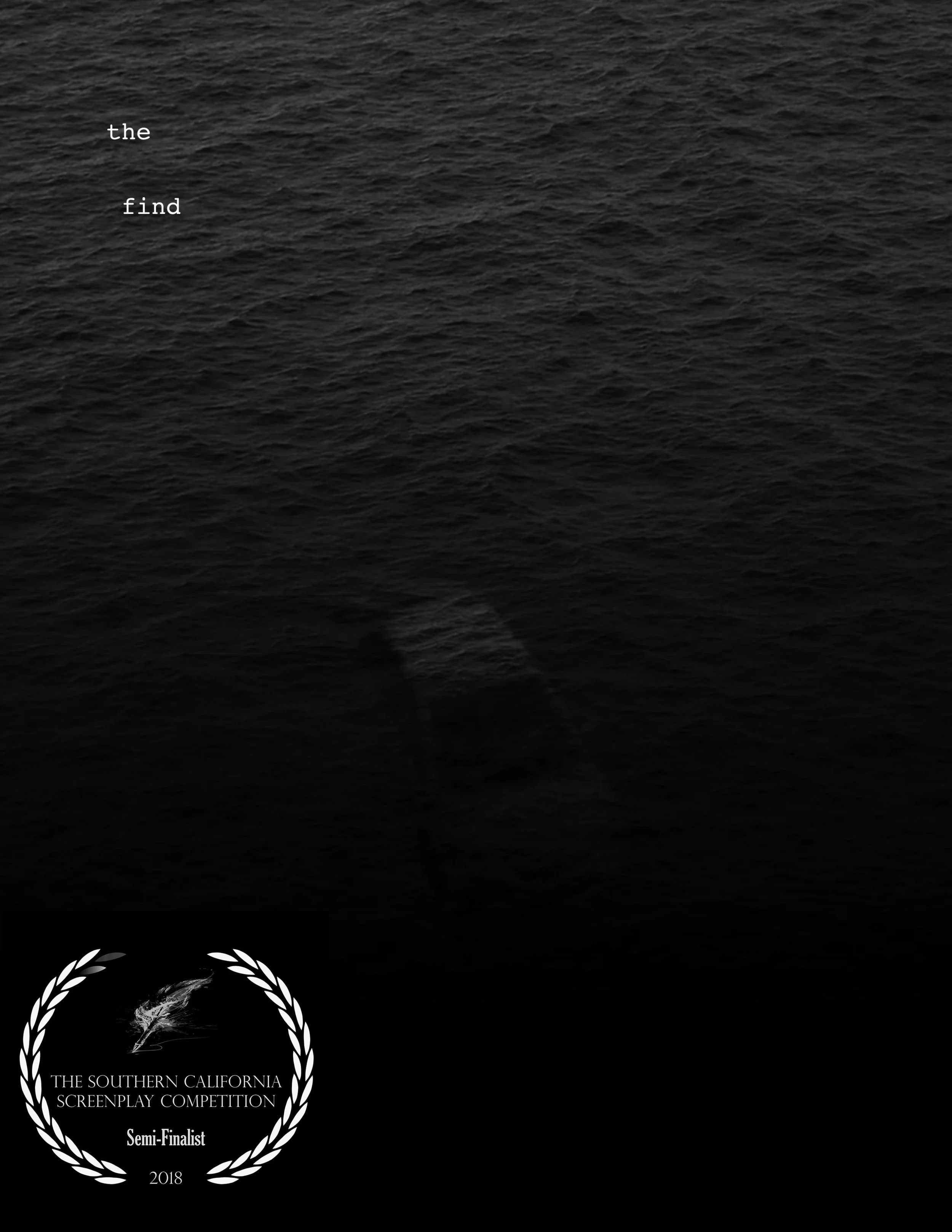 The_Find_Cover.jpg