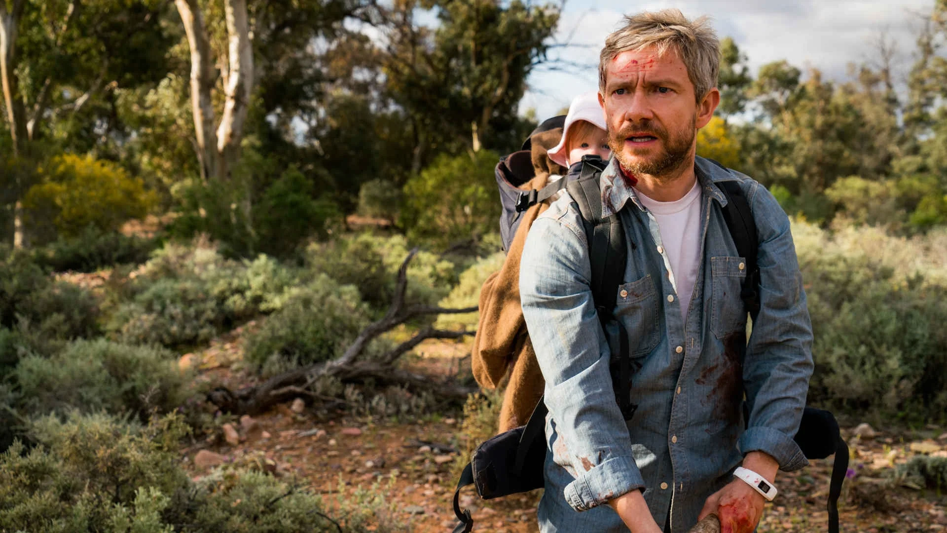 cargo-netflix.jpg