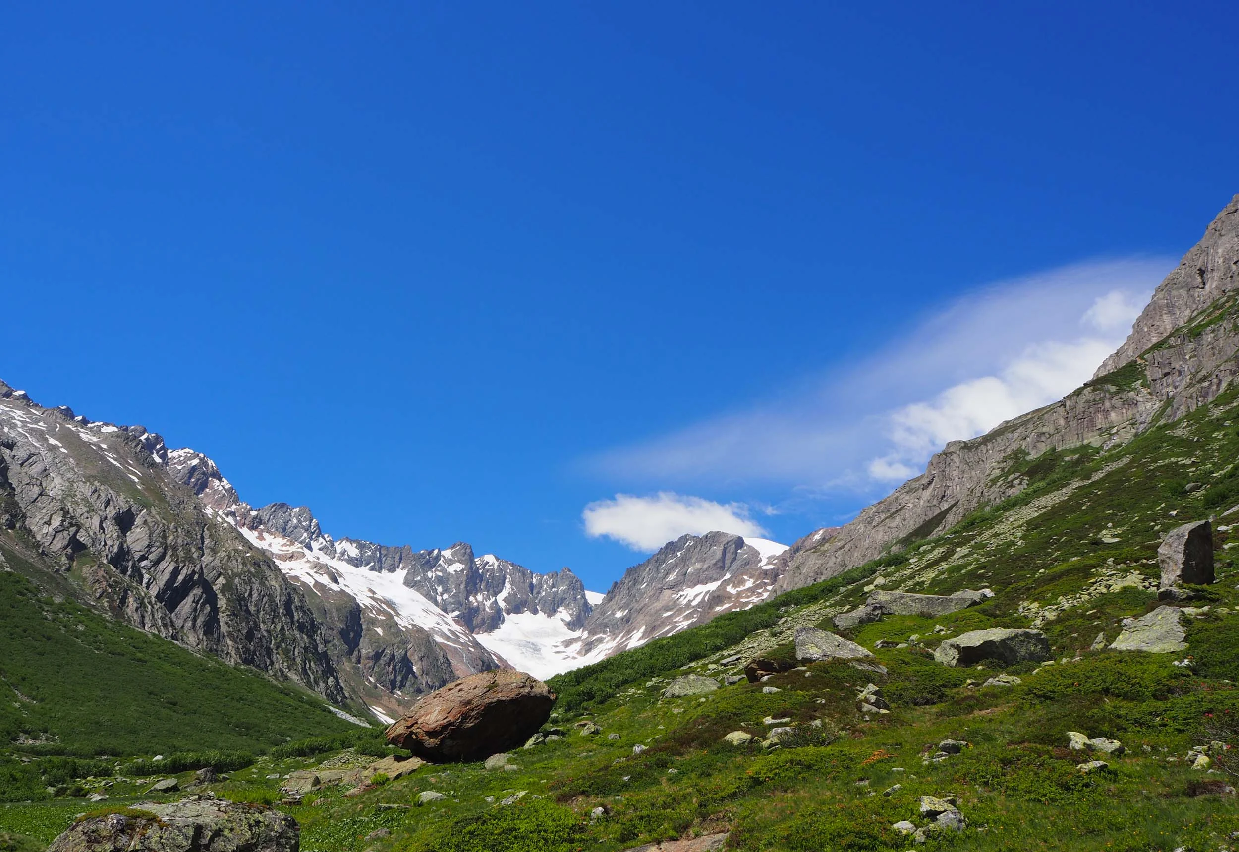 2017-06-17 14-00-03 sustenhorn_018.jpg