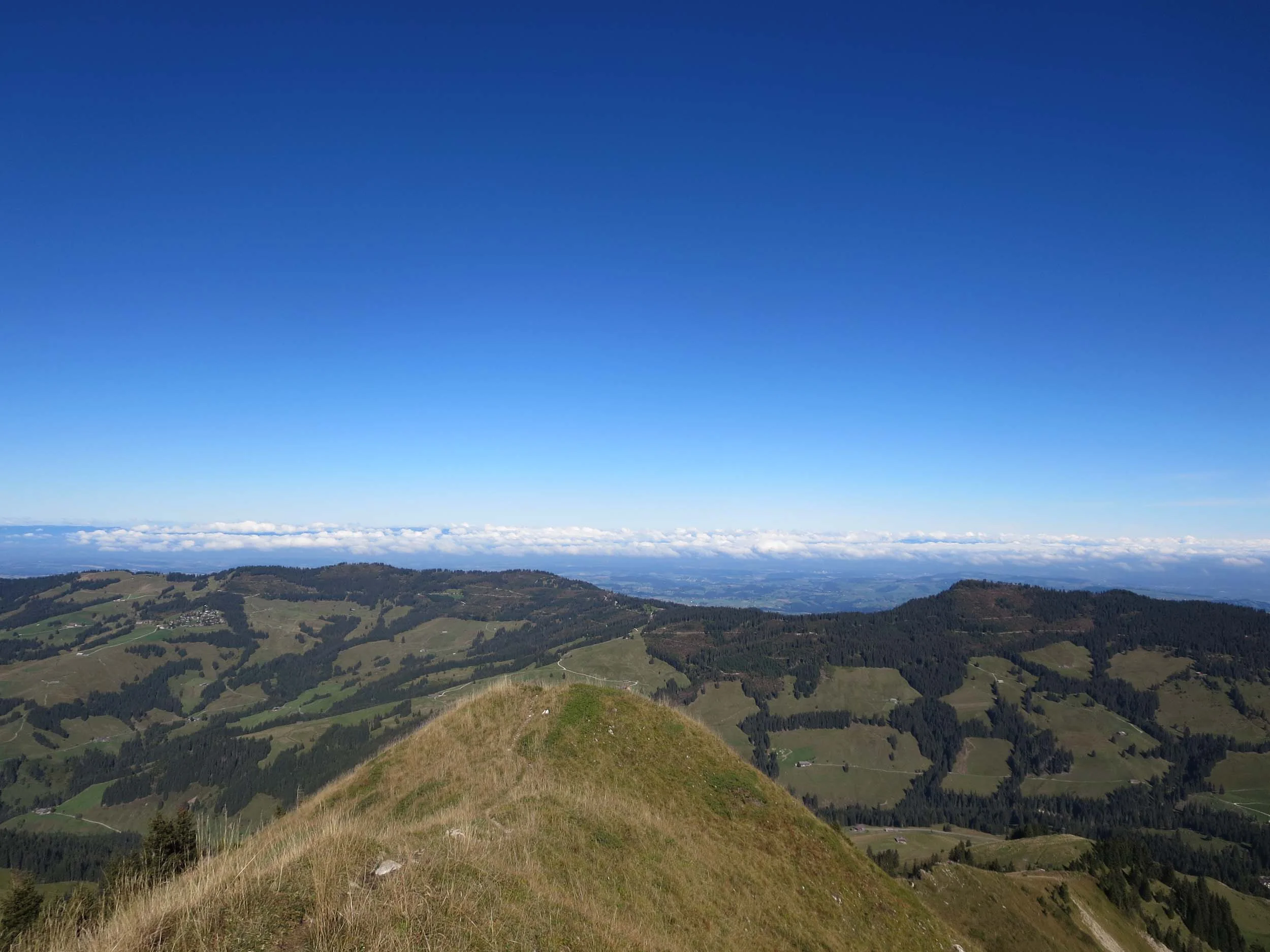 2016-10-04 11-39-23 ochsen_009.jpg
