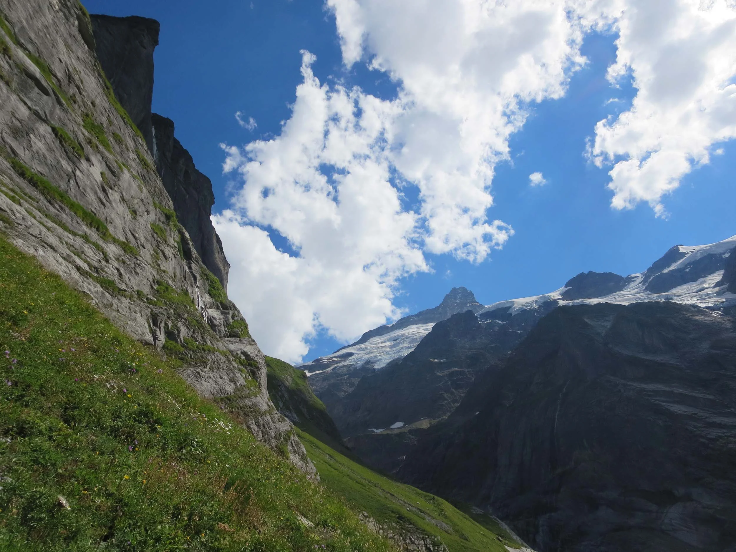 2016-08-27 14-32-39 gleckstein_096.jpg