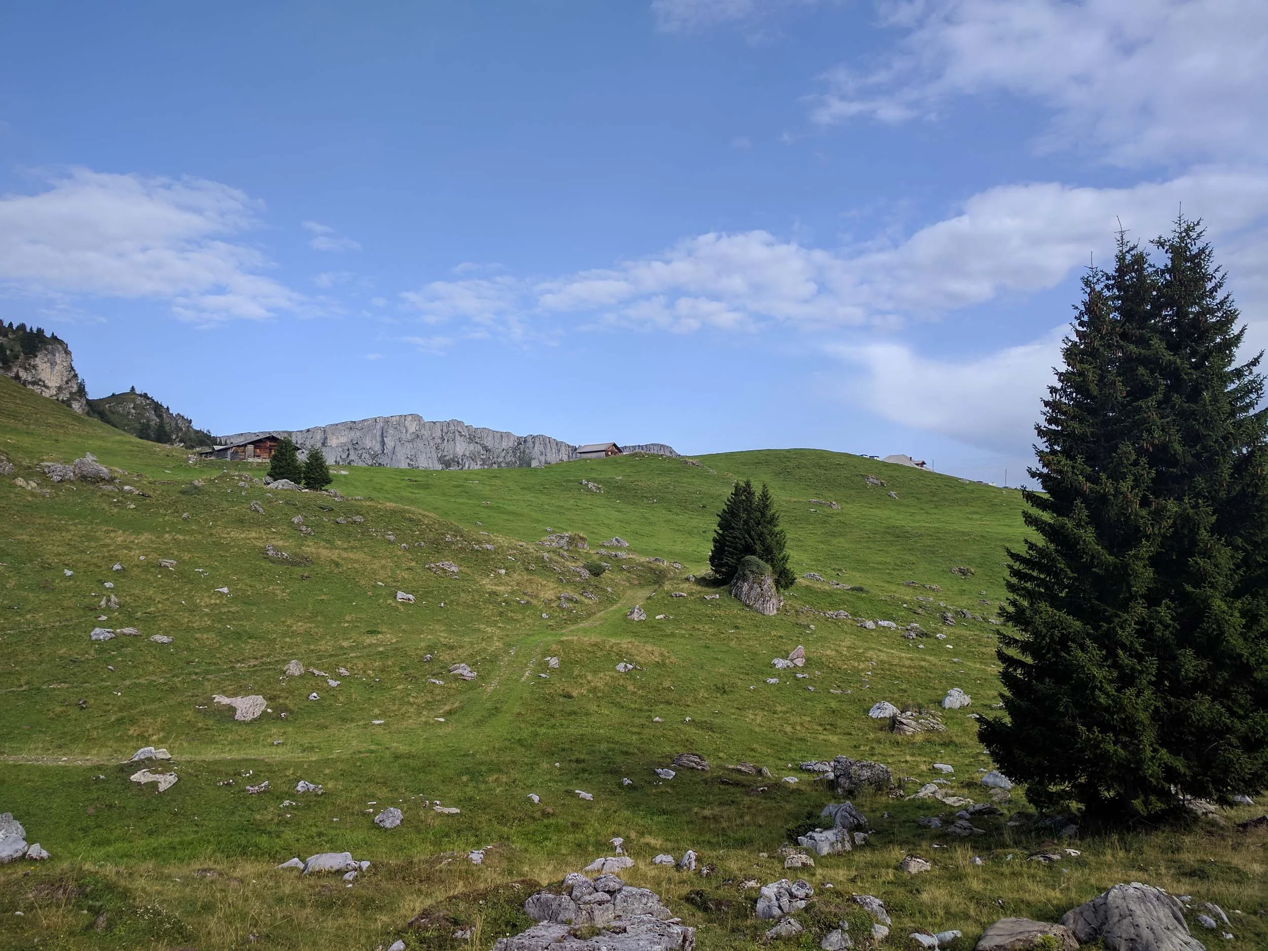 2017-08-26 09-38-06 seehorn_003.jpg