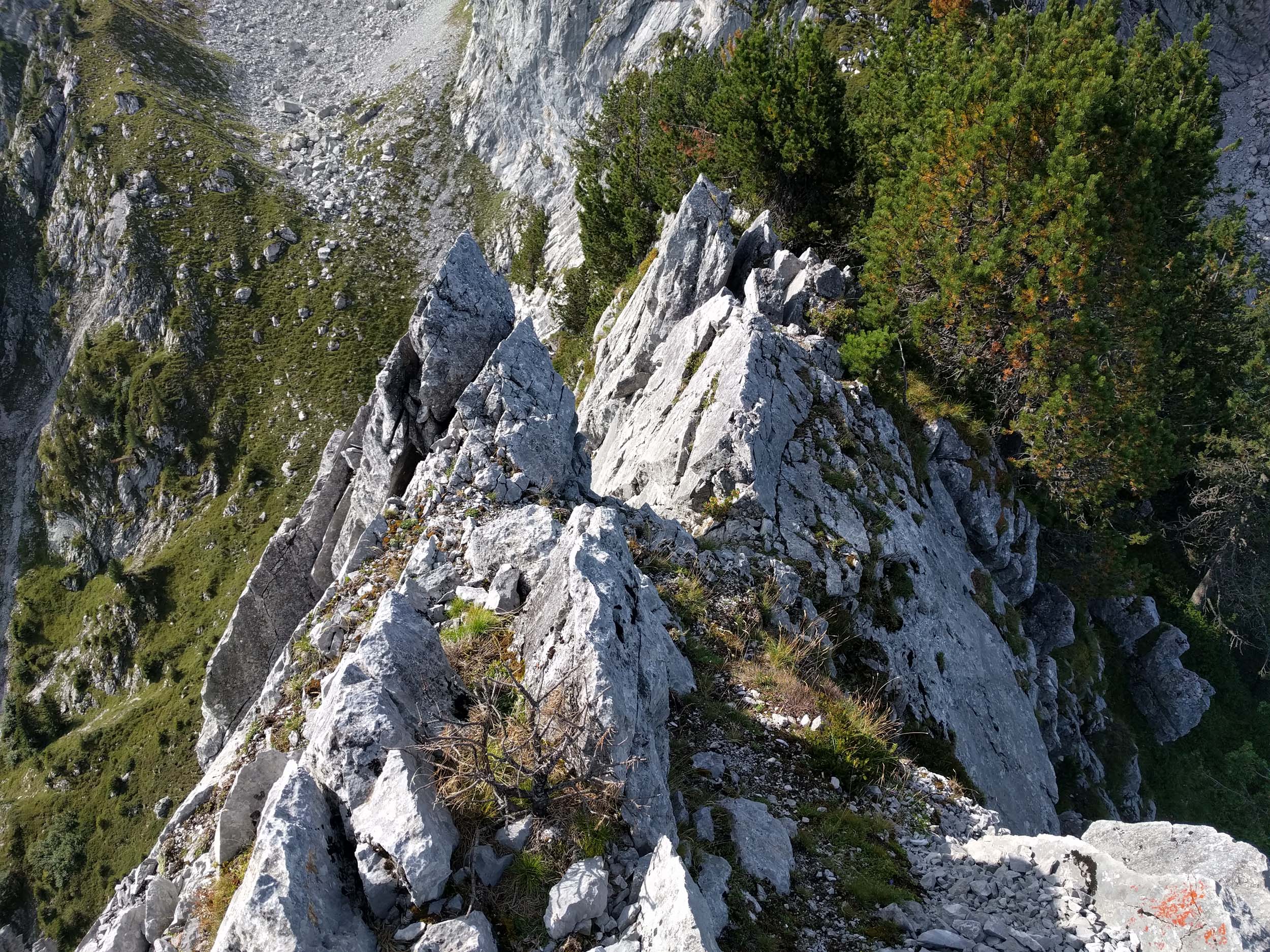 2017-08-26 10-19-43 seehorn_009.jpg