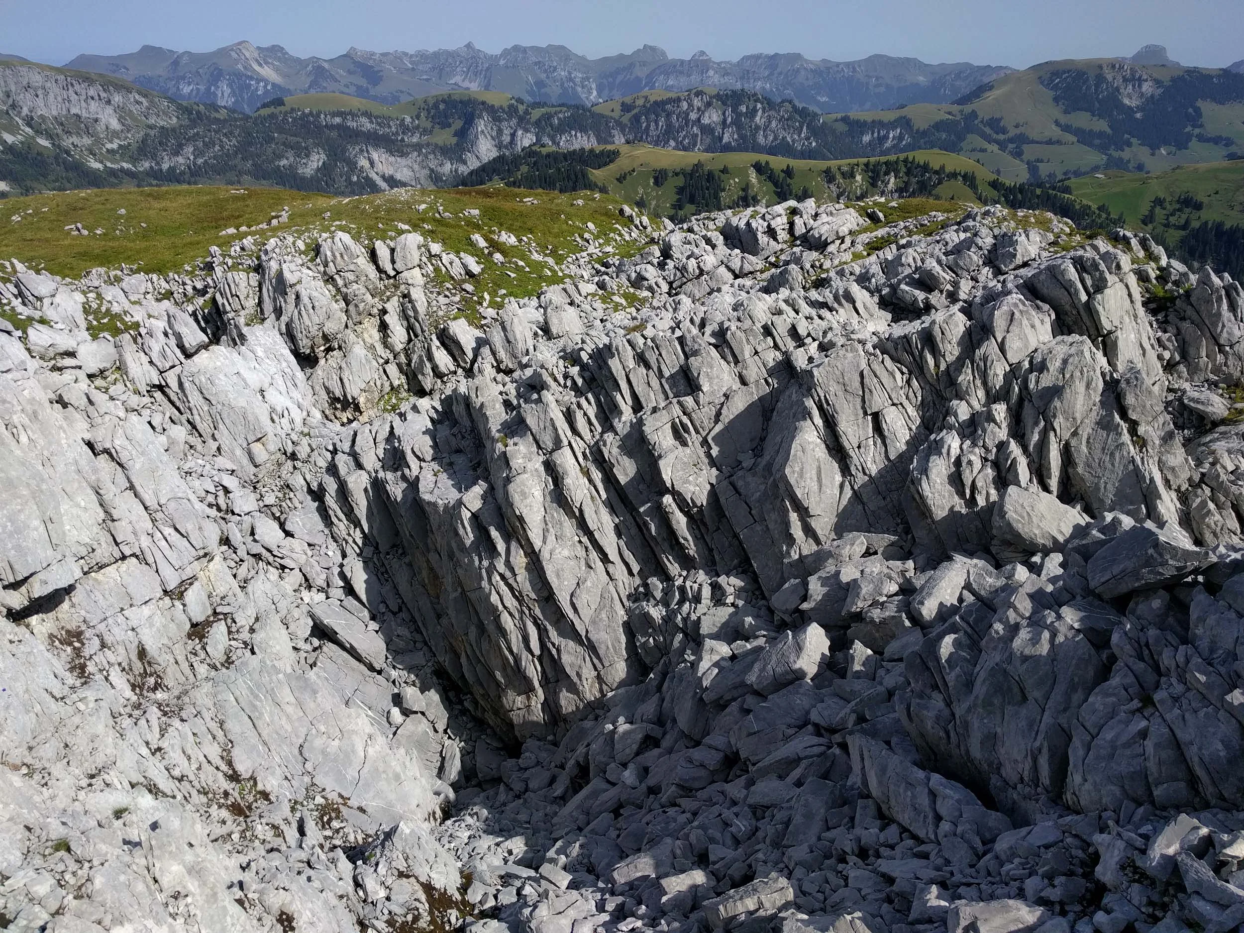 2017-08-26 11-00-43 seehorn_015.jpg