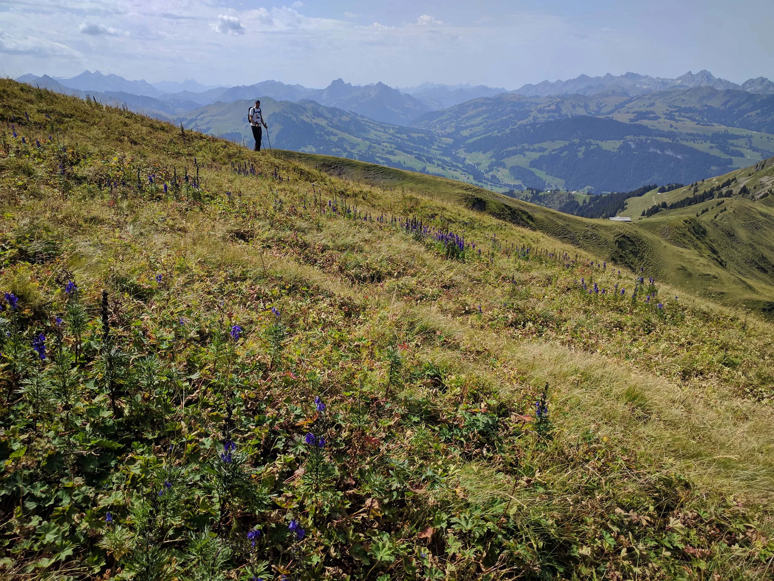 2017-08-26 13-49-00 seehorn_025.jpg