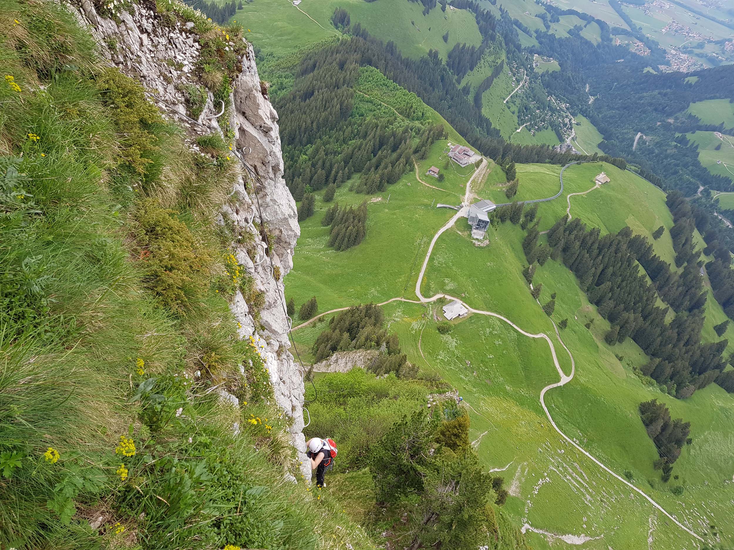 2018-06-03 10-40-08 moleson_017.jpg