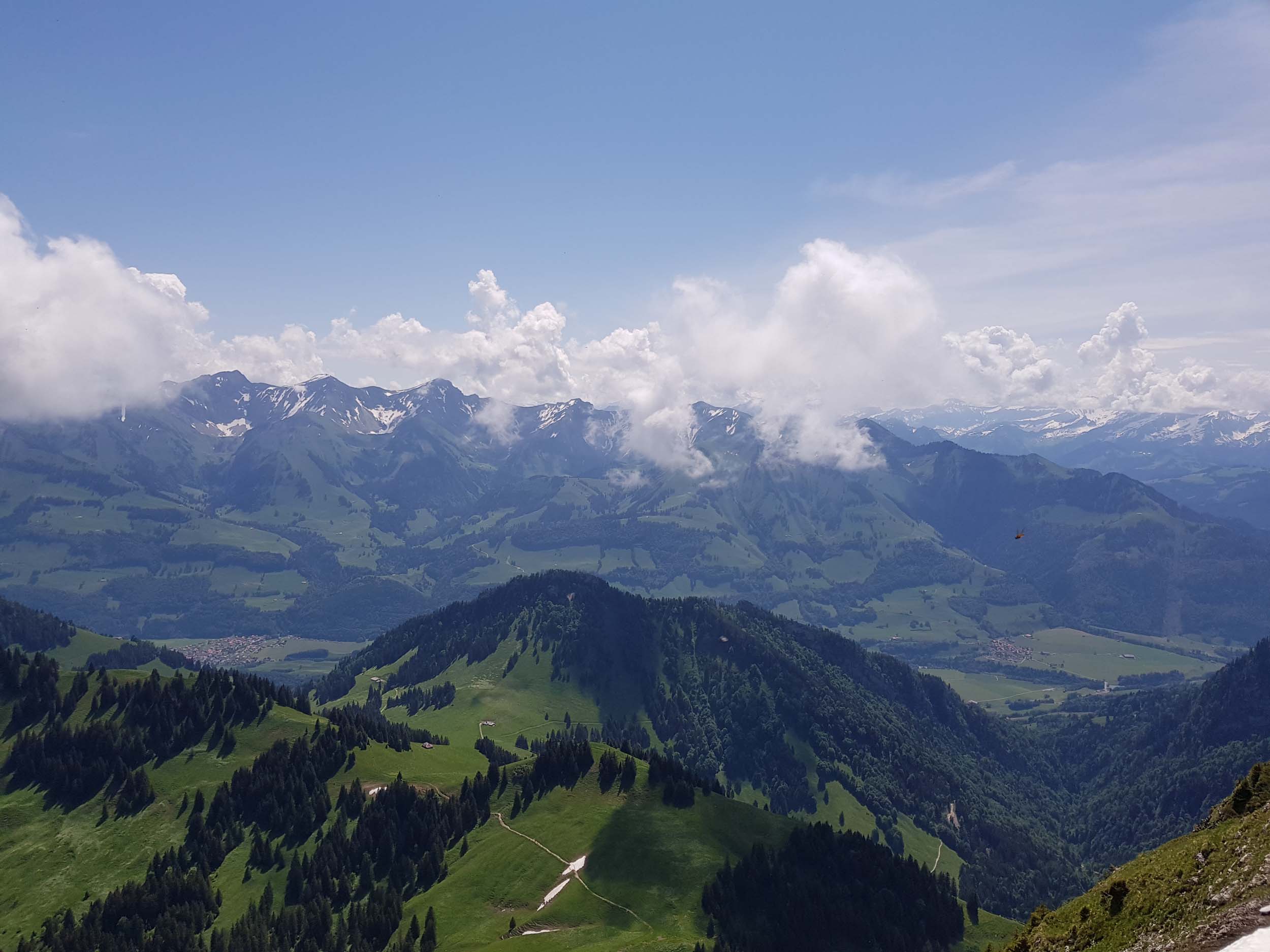 2018-06-03 12-03-24 moleson_027.jpg