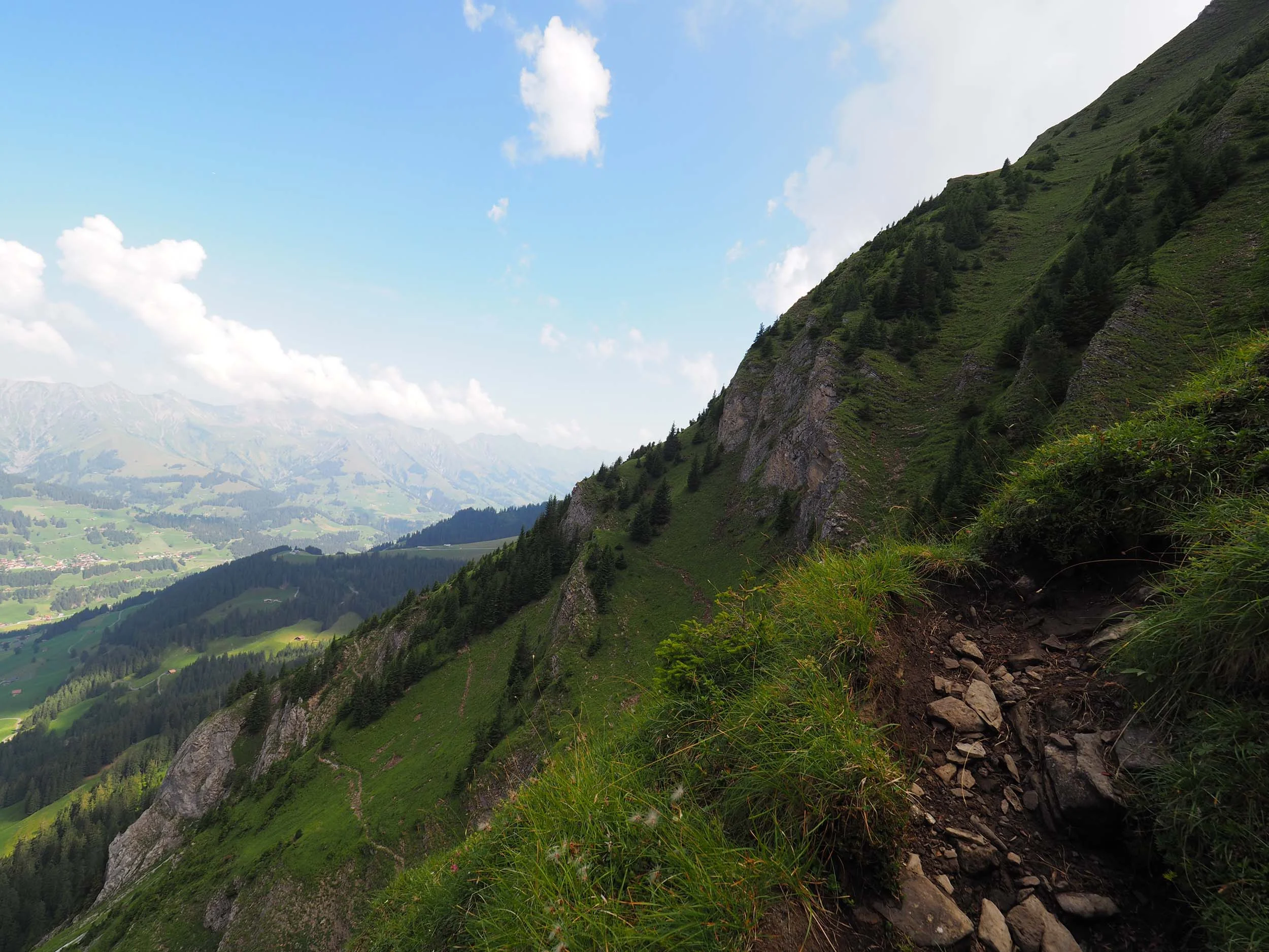 2018-08-04 10-31-11 mittaghorn_012.jpg