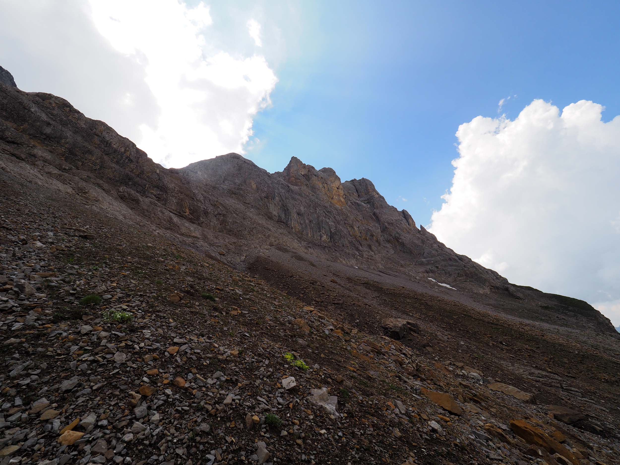 2018-08-04 14-39-10 mittaghorn_034.jpg