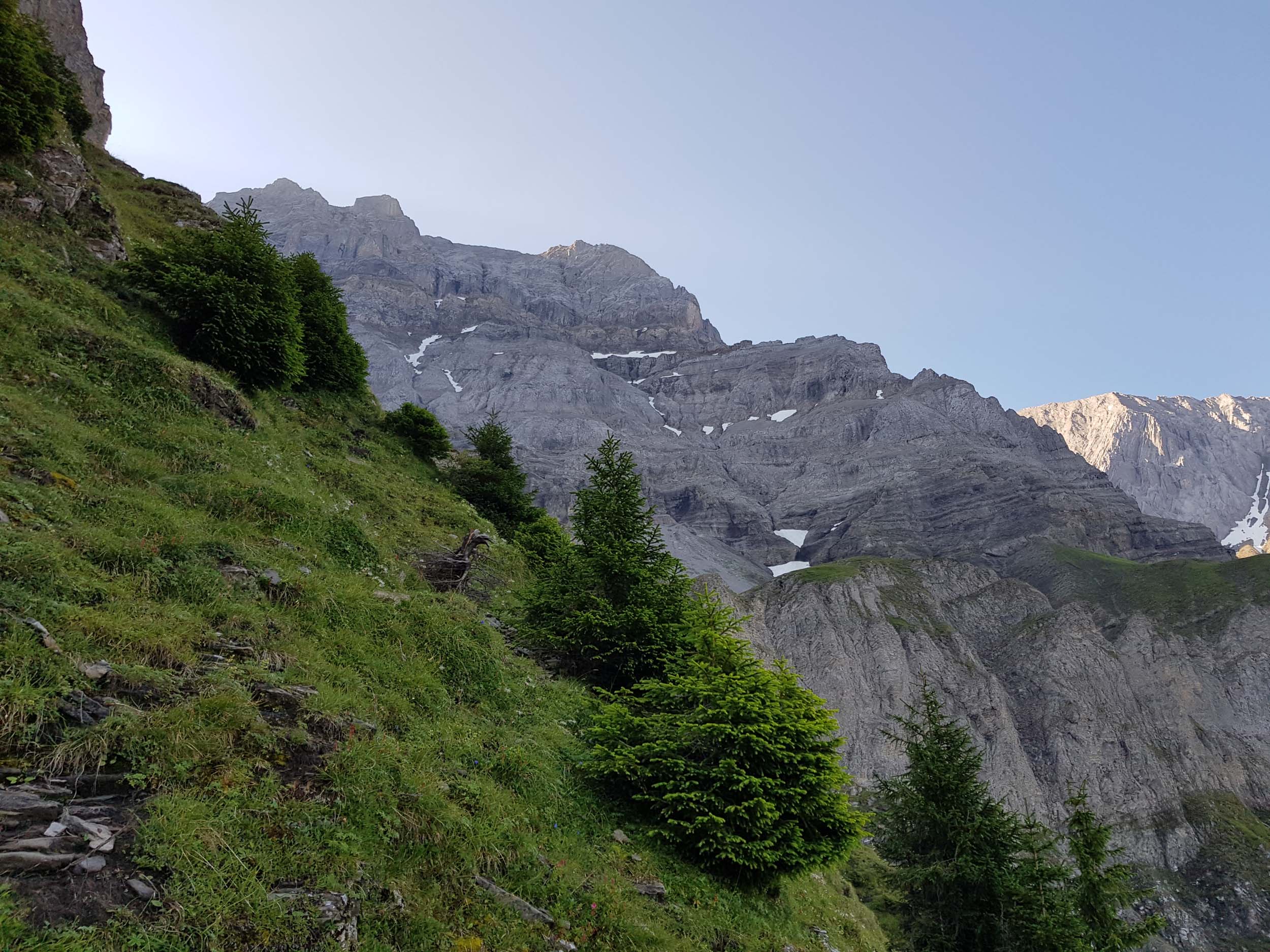 2018-08-05 08-43-40 mittaghorn_056.jpg