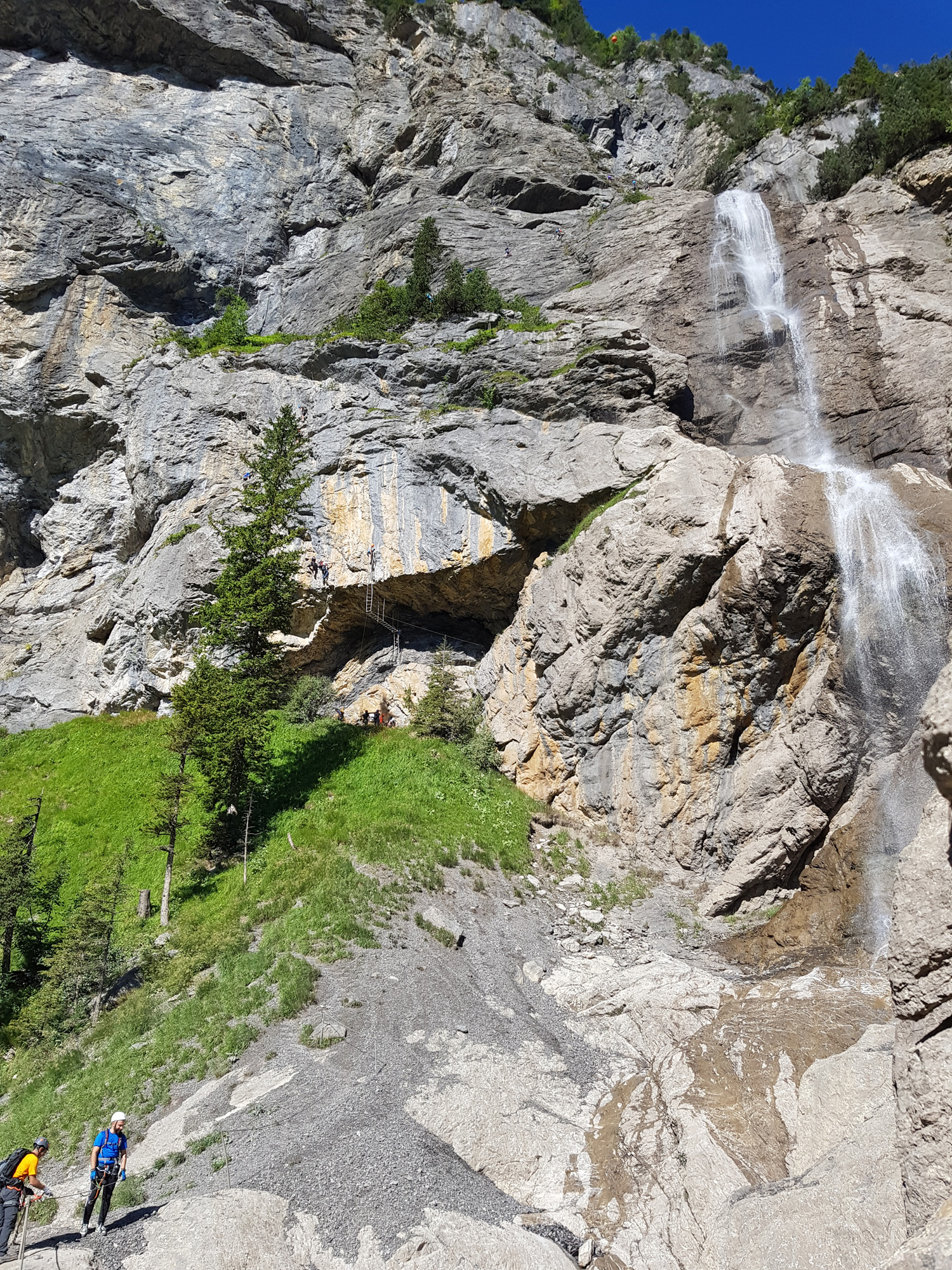 20180729_095201.jpg