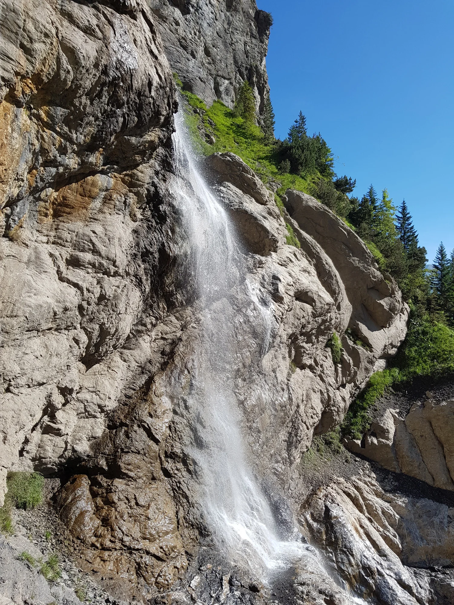20180729_095706.jpg