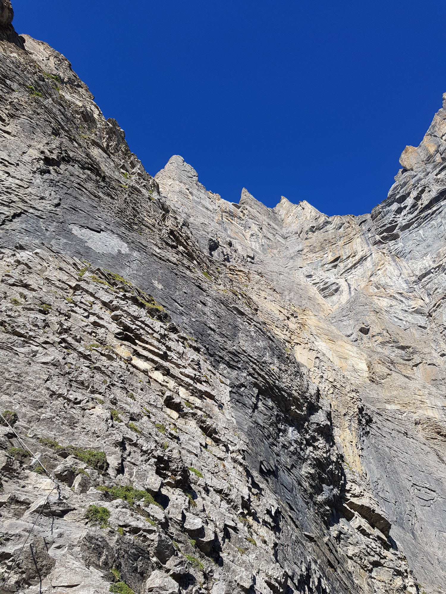 20180820_090119.jpg