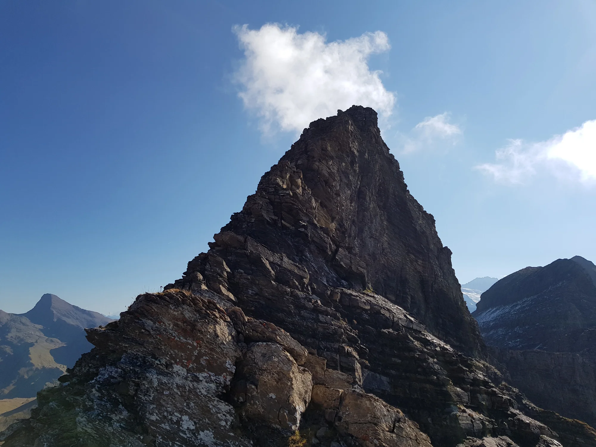 Esel, Simelihorn, Reeti