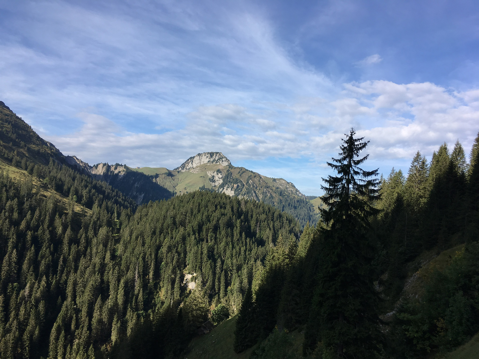 2018-09-16 09-34-32 morgenberghorn_001.jpg