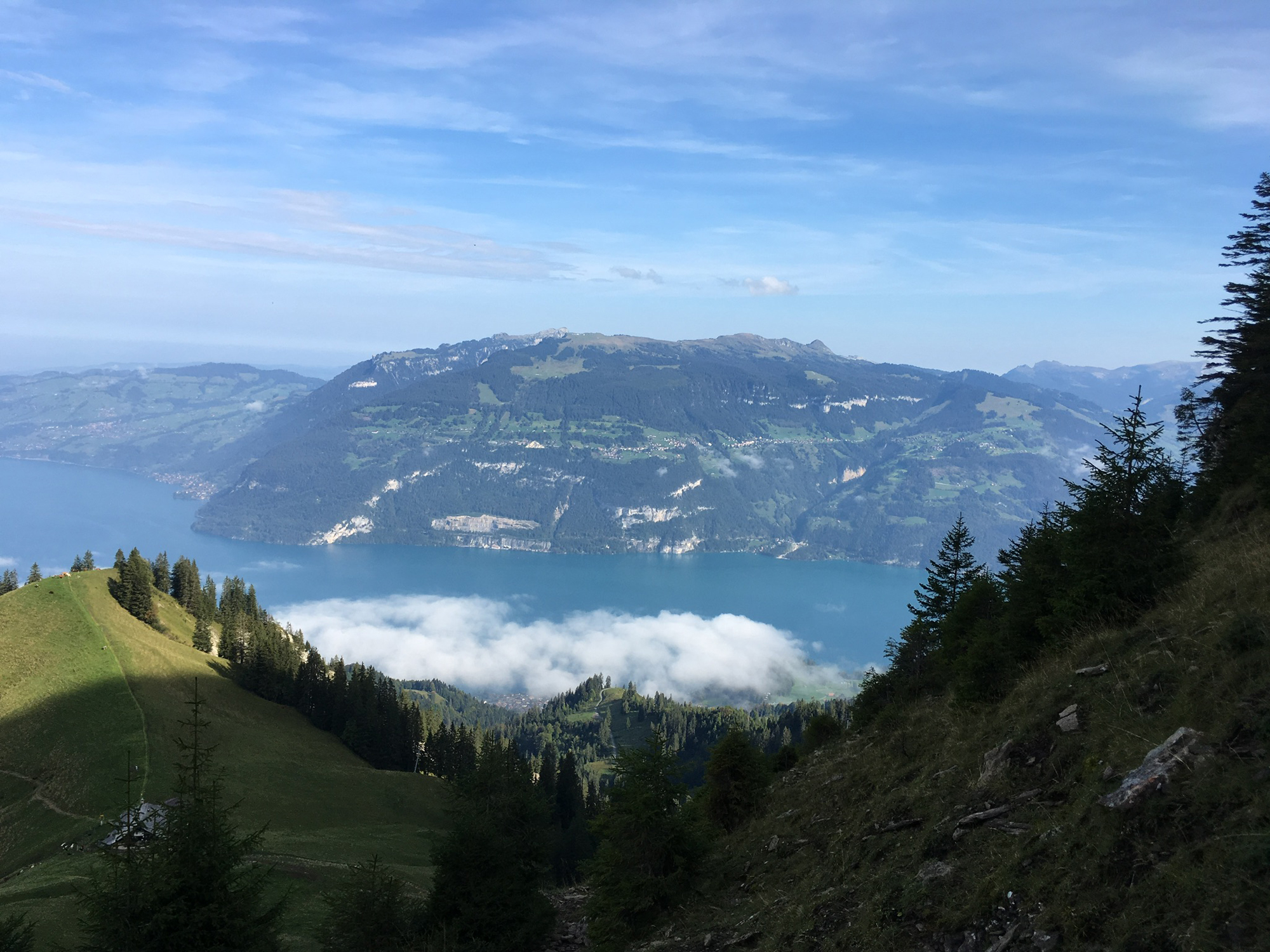 2018-09-16 10-23-48 morgenberghorn_009.jpg
