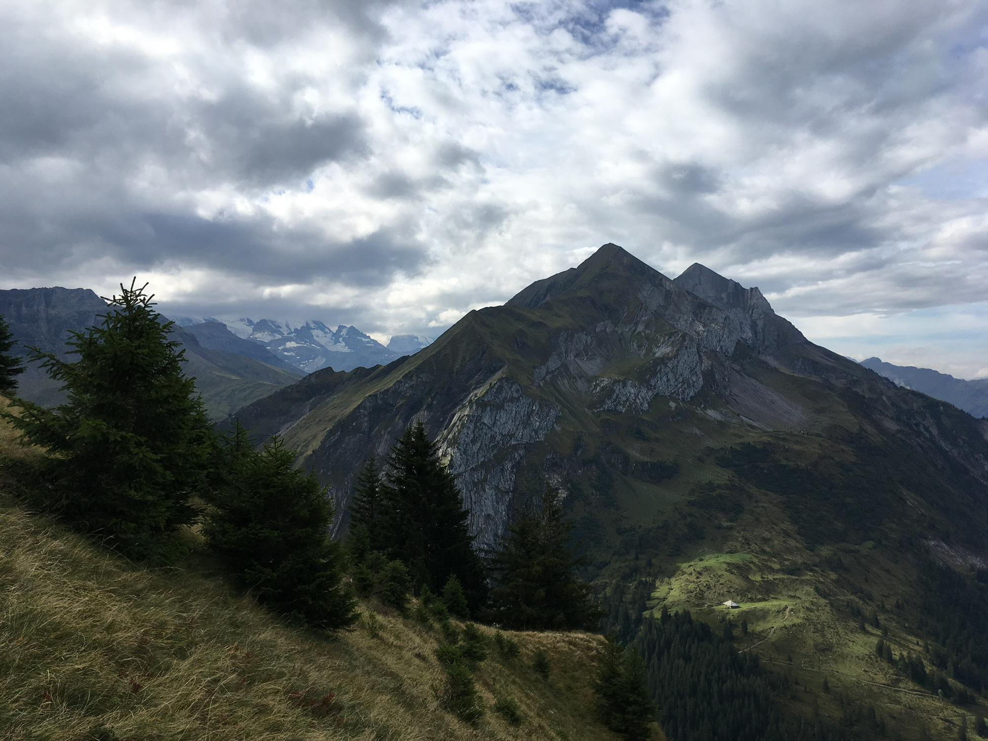 2018-09-16 10-46-48 morgenberghorn_011.jpg