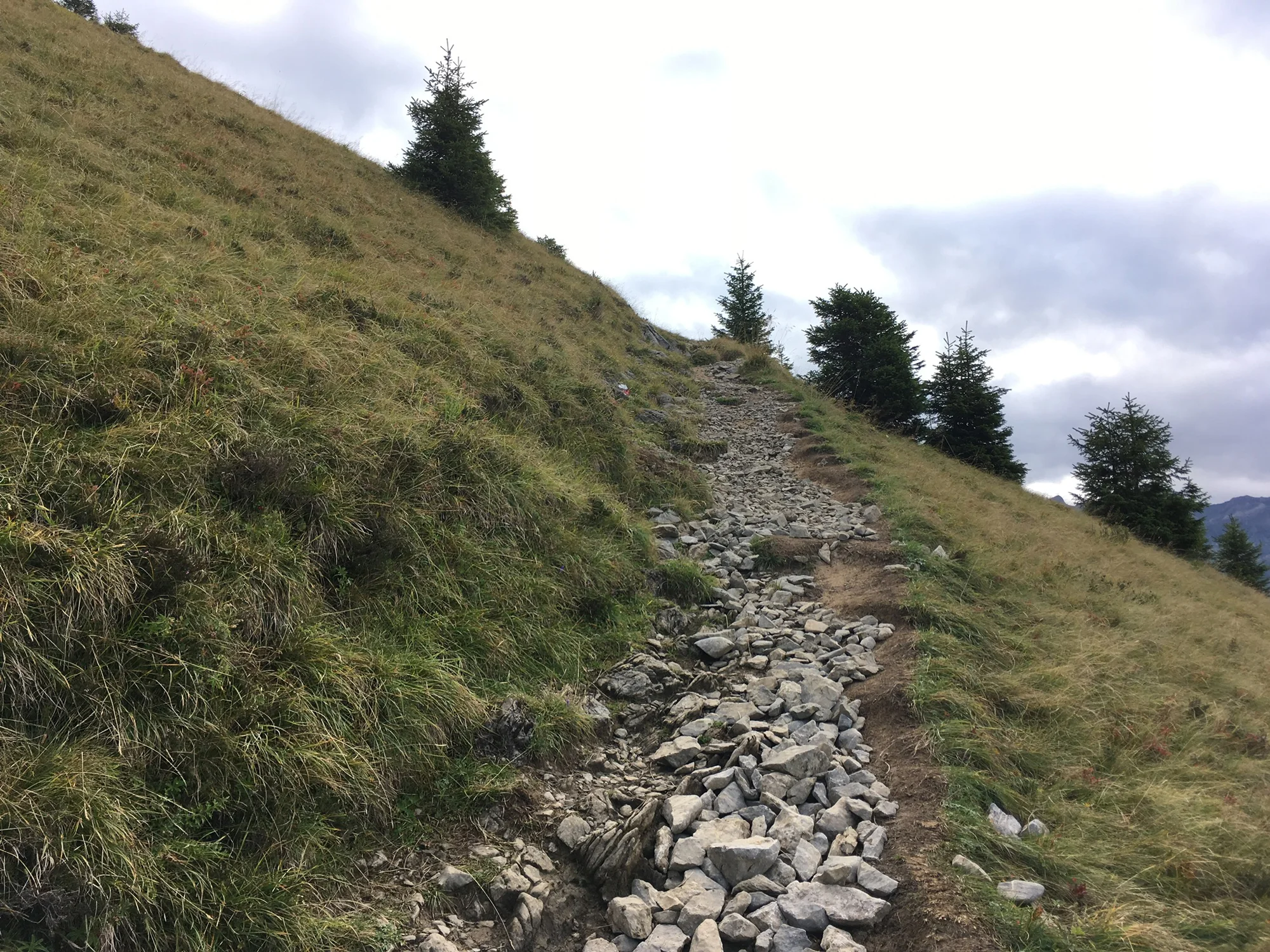 2018-09-16 10-47-01 morgenberghorn_012.jpg