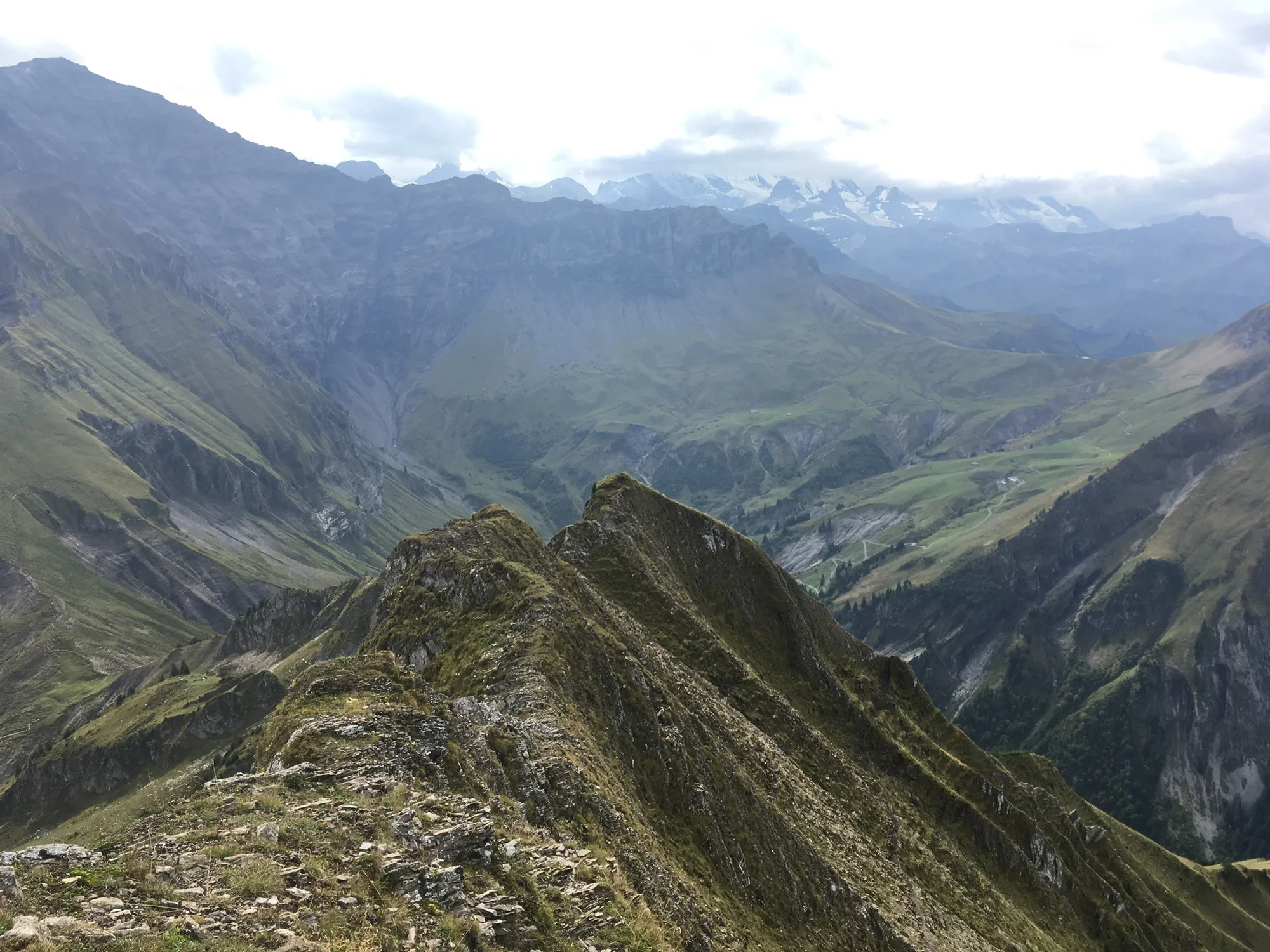 2018-09-16 12-26-59 morgenberghorn_019.jpg