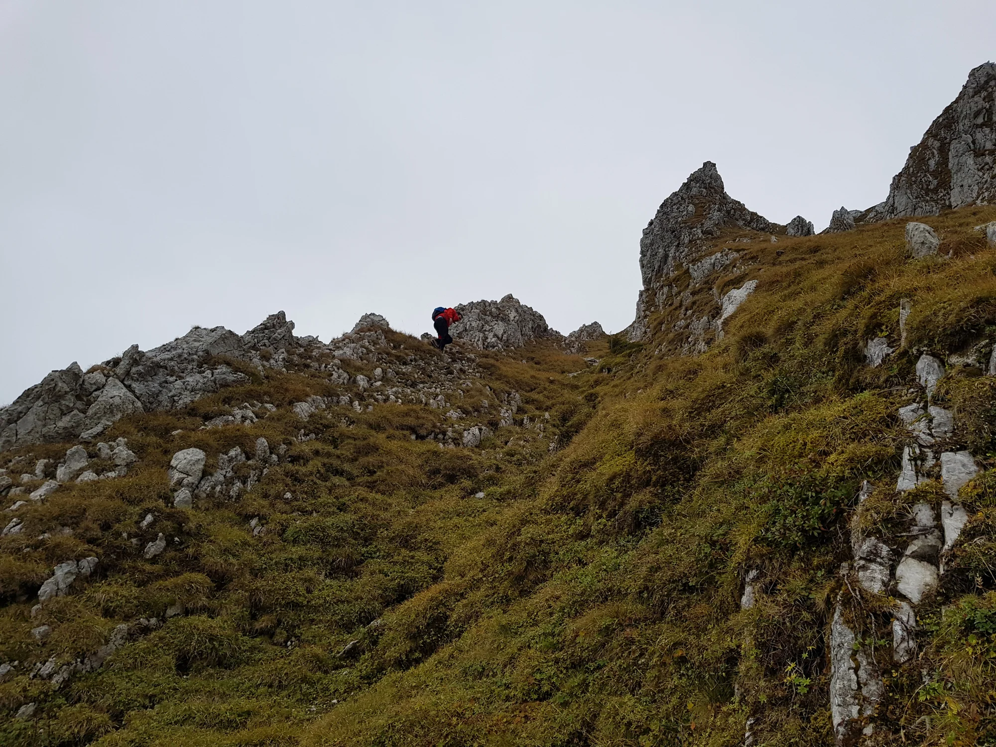 2018-10-06 10-11-08 gemsgrat_003.jpg