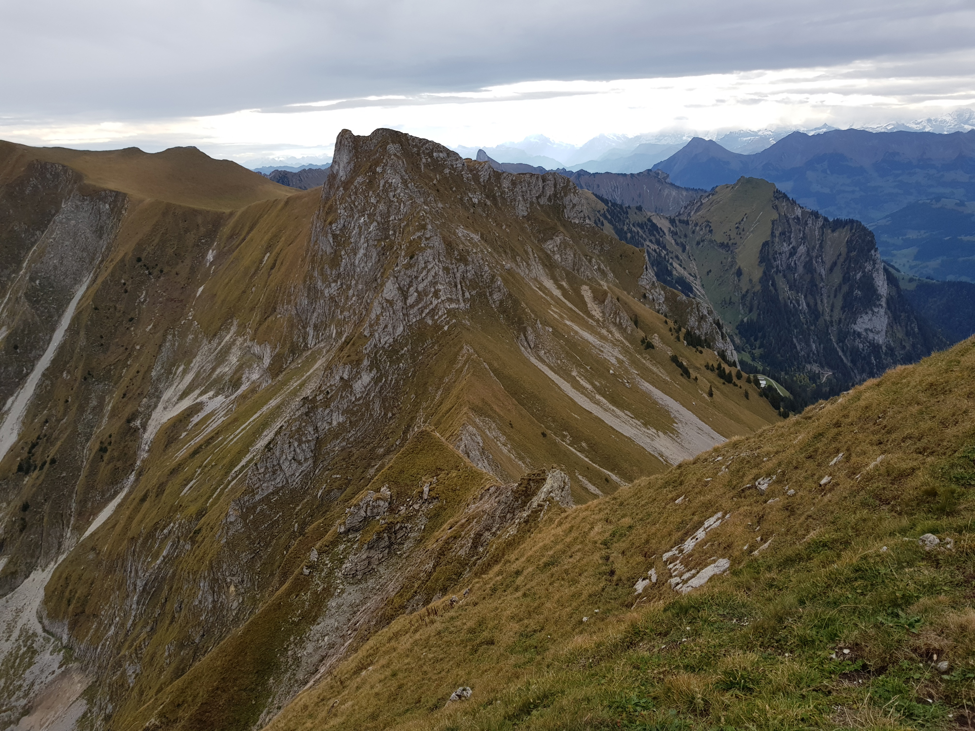 2018-10-06 10-24-35 gemsgrat_004.jpg