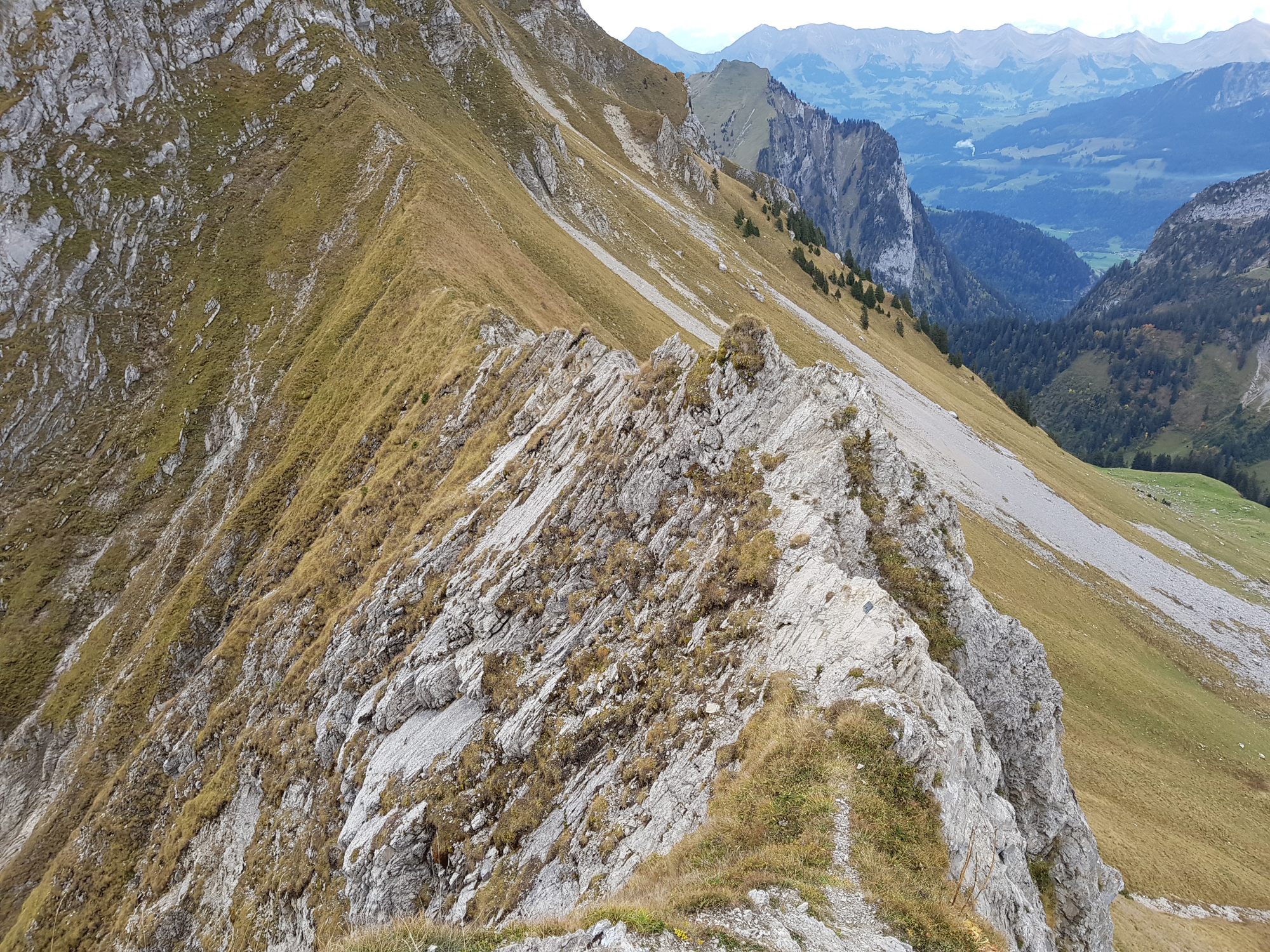 2018-10-06 10-43-16 gemsgrat_006.jpg