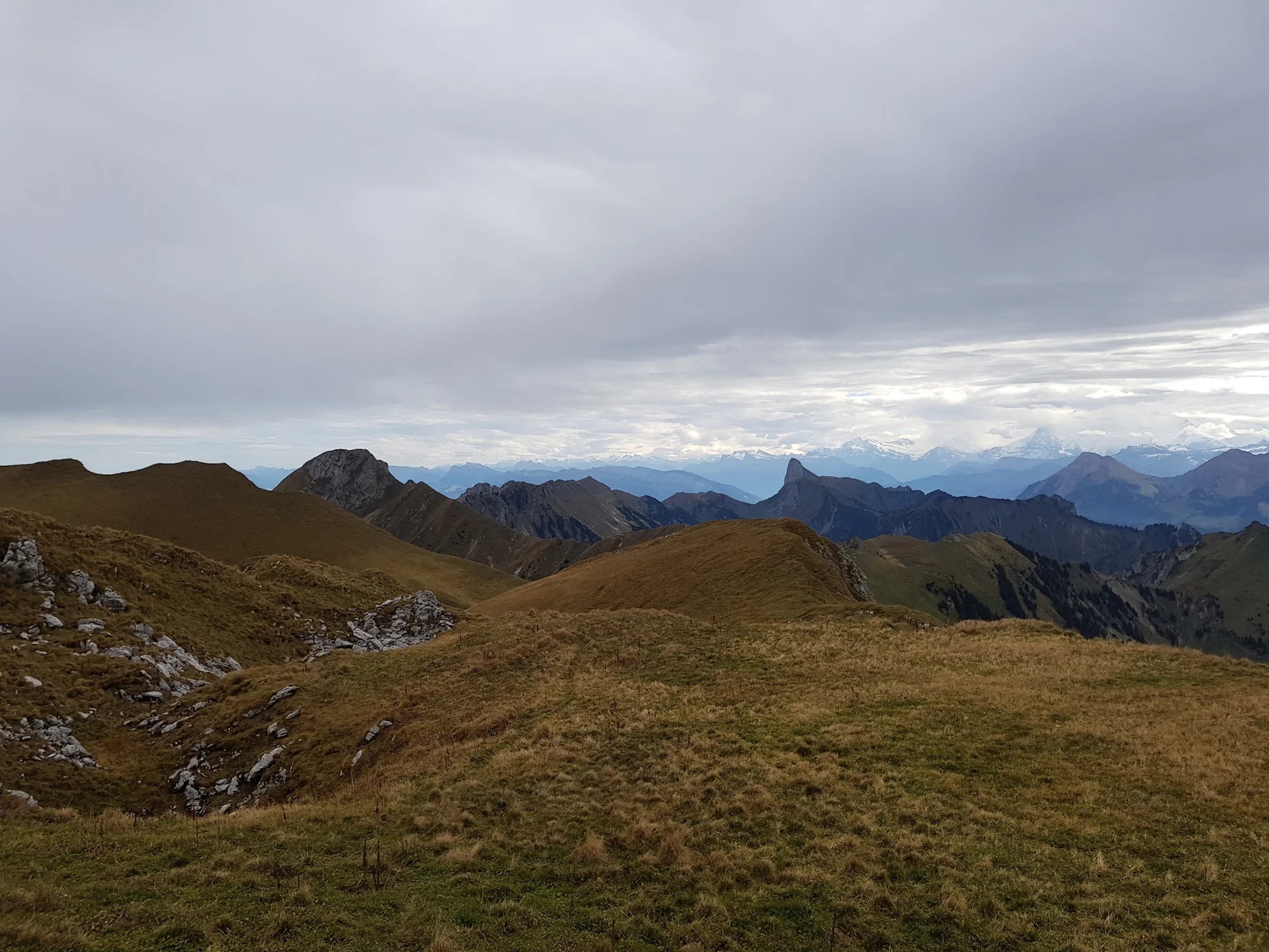 2018-10-06 11-27-54 gemsgrat_017.jpg