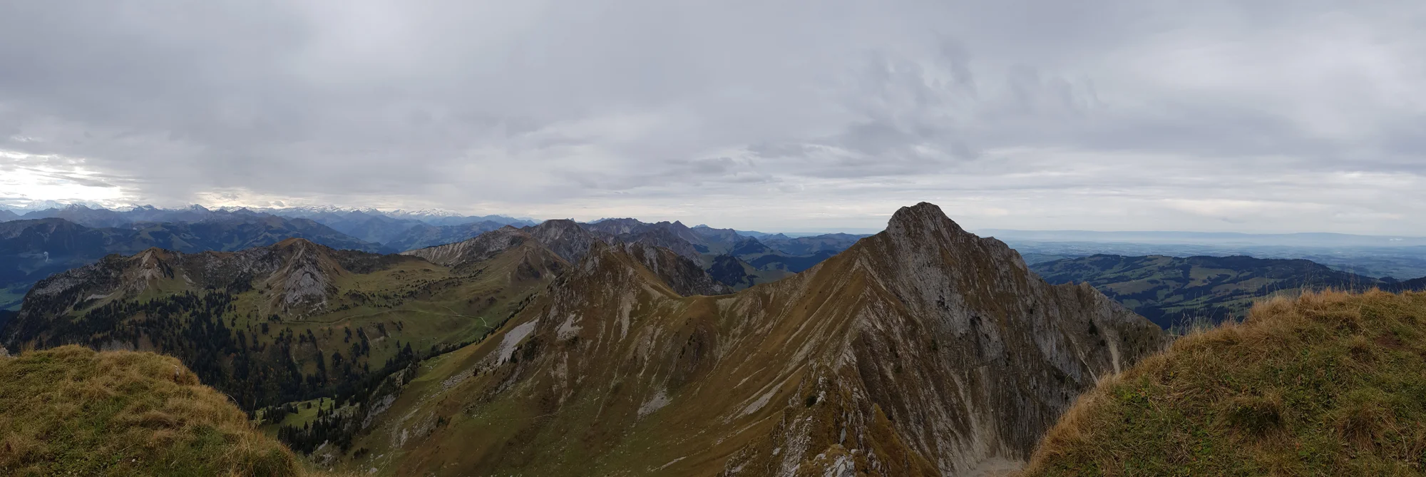 2018-10-06 11-28-55 gemsgrat_018.jpg
