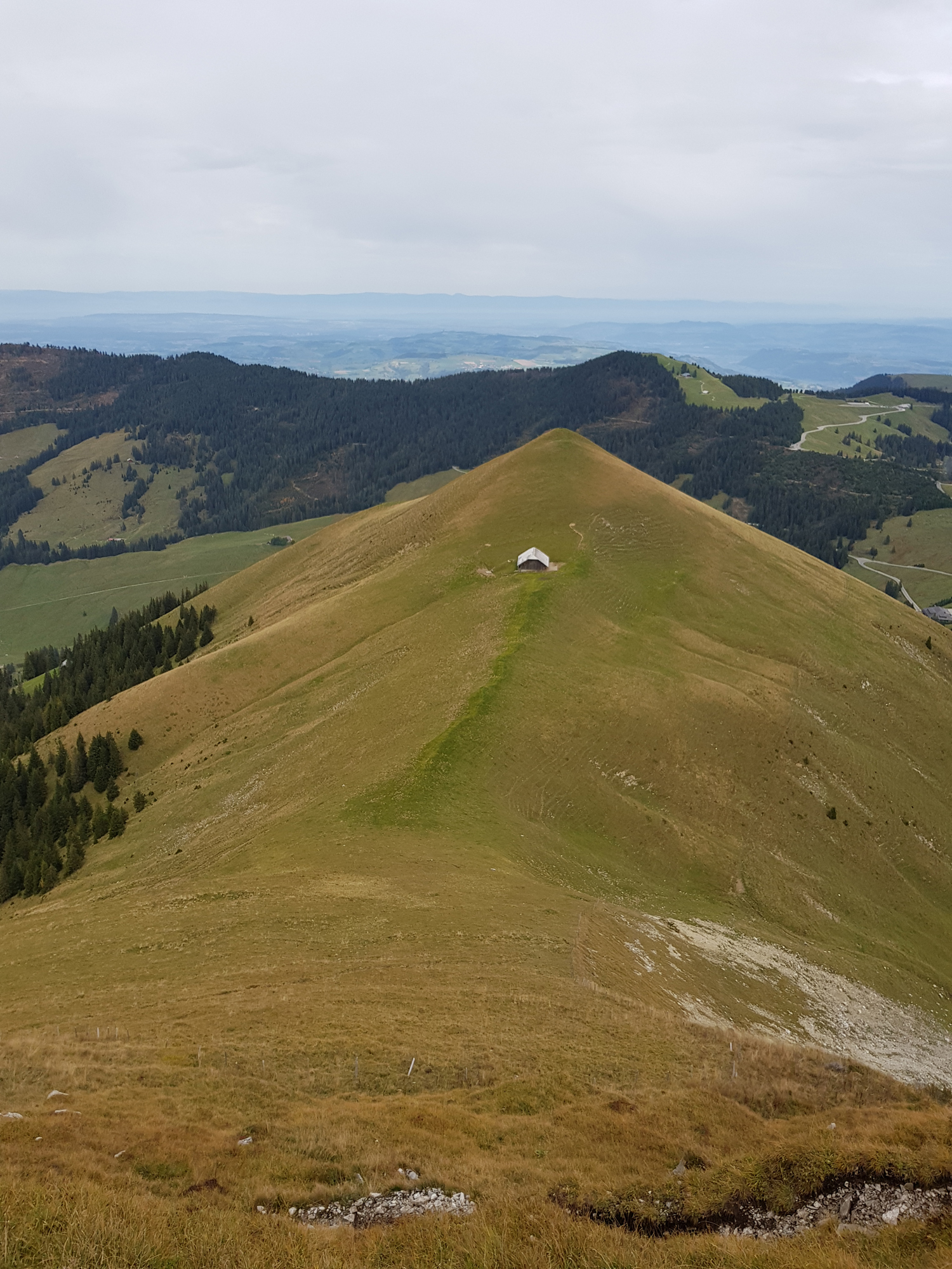 2018-10-06 12-43-00 gemsgrat_020.jpg